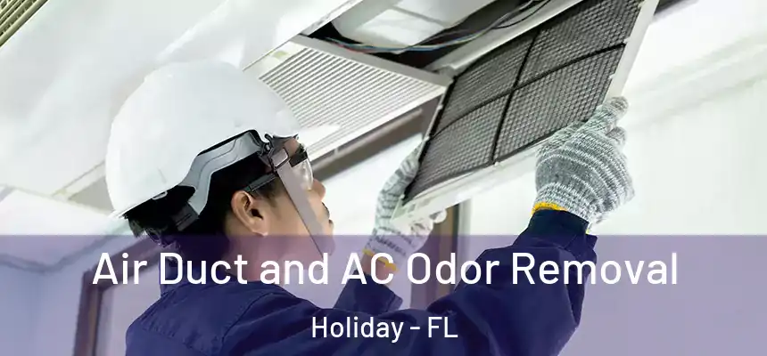 Air Duct and AC Odor Removal Holiday - FL