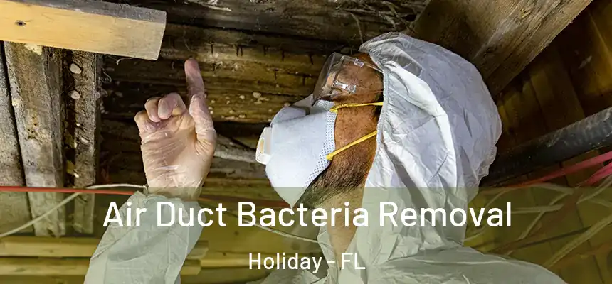 Air Duct Bacteria Removal Holiday - FL