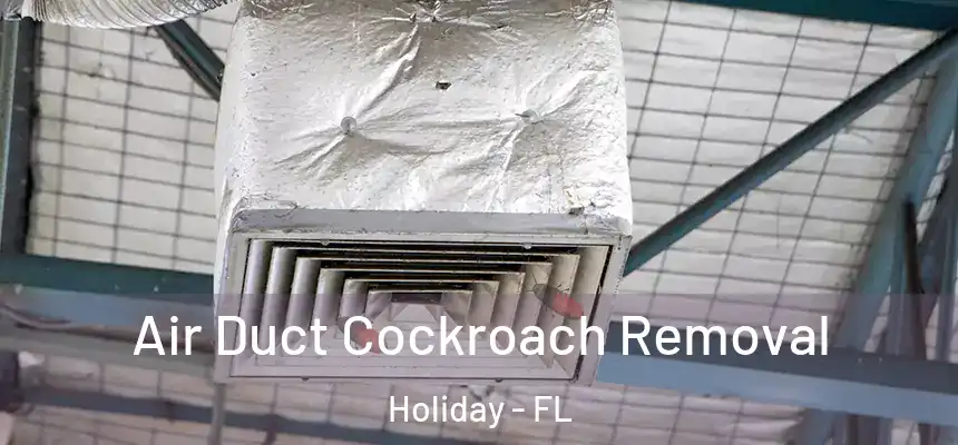 Air Duct Cockroach Removal Holiday - FL