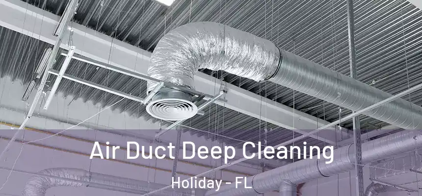 Air Duct Deep Cleaning Holiday - FL