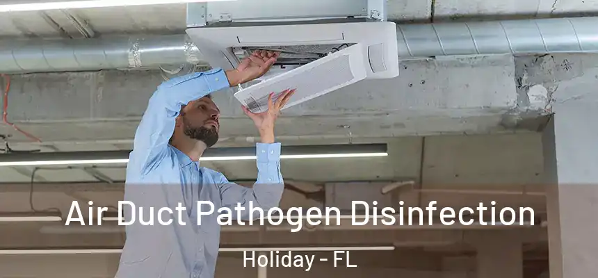 Air Duct Pathogen Disinfection Holiday - FL