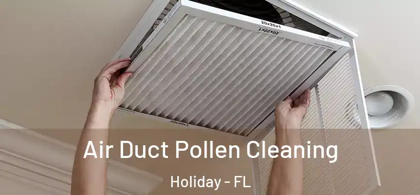 Air Duct Pollen Cleaning Holiday - FL