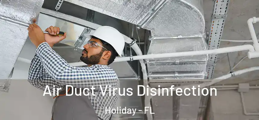 Air Duct Virus Disinfection Holiday - FL
