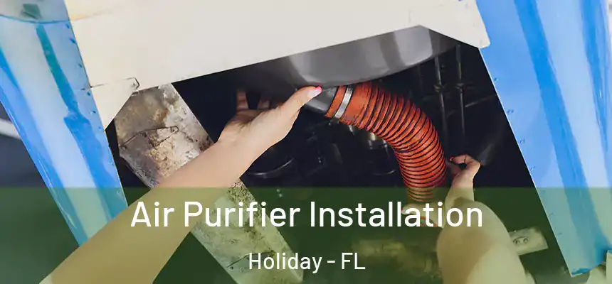 Air Purifier Installation Holiday - FL