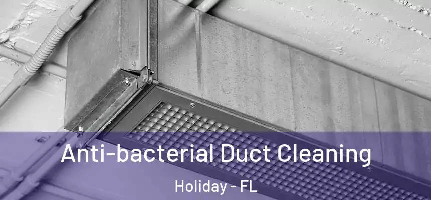 Anti-bacterial Duct Cleaning Holiday - FL