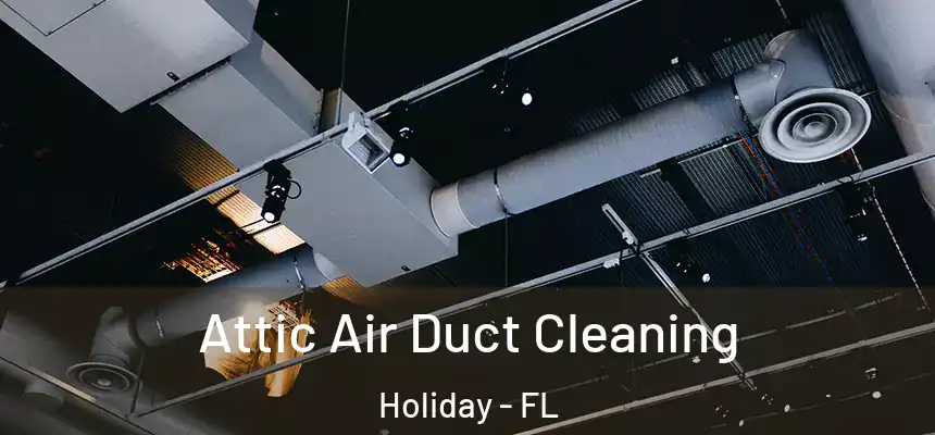 Attic Air Duct Cleaning Holiday - FL
