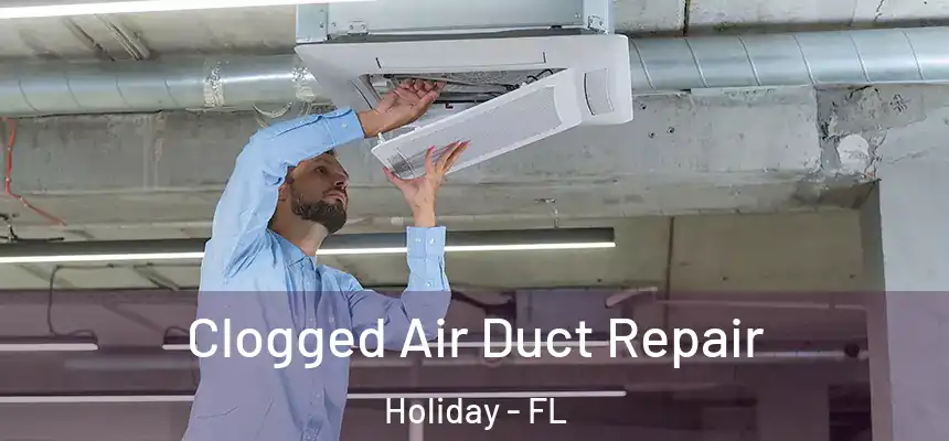 Clogged Air Duct Repair Holiday - FL