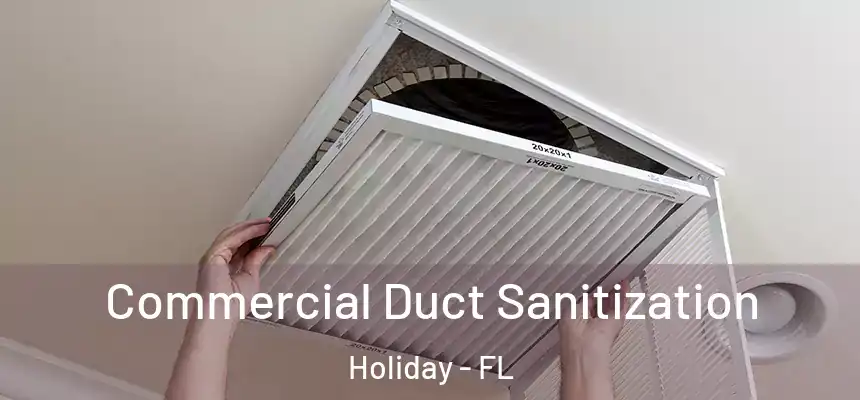 Commercial Duct Sanitization Holiday - FL