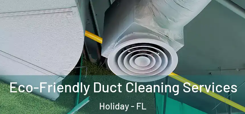 Eco-Friendly Duct Cleaning Services Holiday - FL