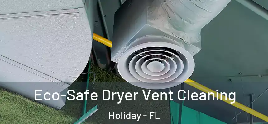 Eco-Safe Dryer Vent Cleaning Holiday - FL