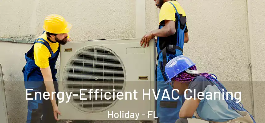 Energy-Efficient HVAC Cleaning Holiday - FL