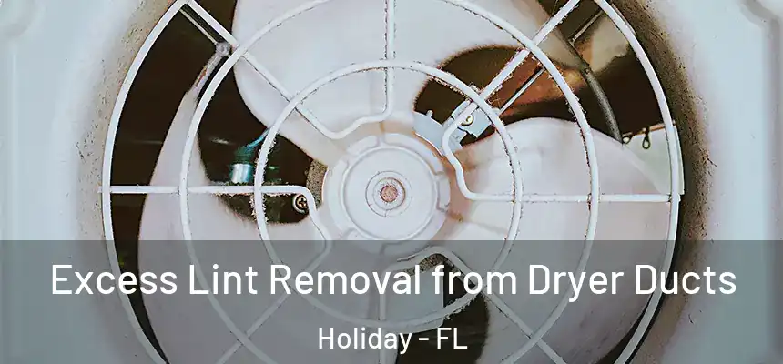 Excess Lint Removal from Dryer Ducts Holiday - FL