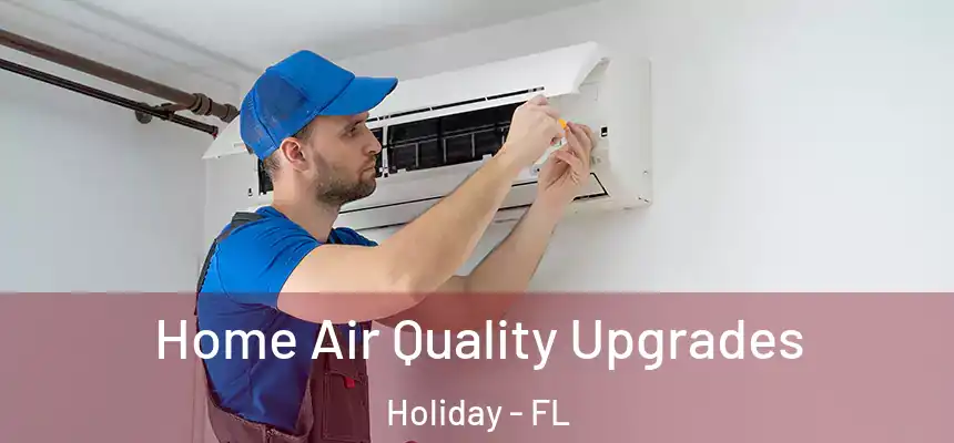 Home Air Quality Upgrades Holiday - FL