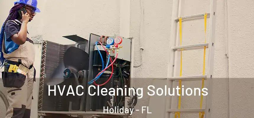 HVAC Cleaning Solutions Holiday - FL