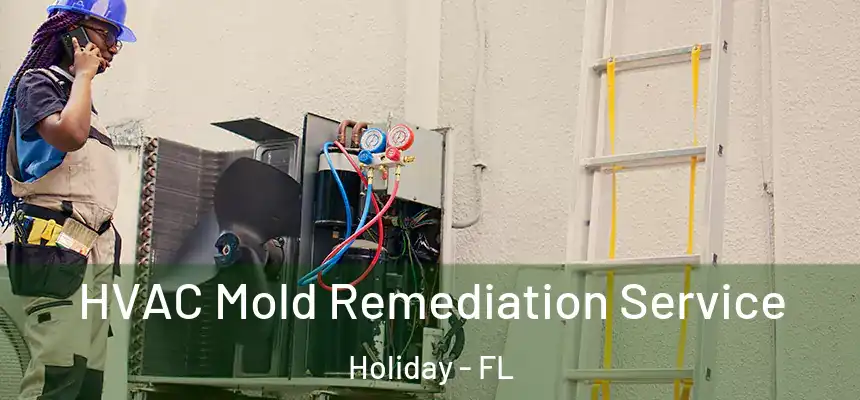 HVAC Mold Remediation Service Holiday - FL