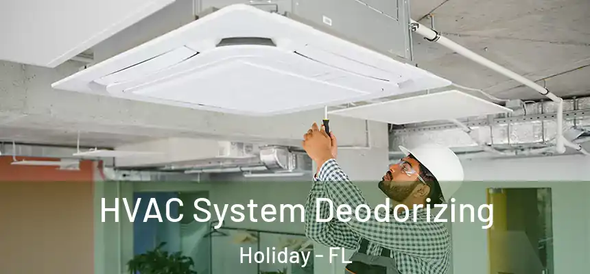 HVAC System Deodorizing Holiday - FL