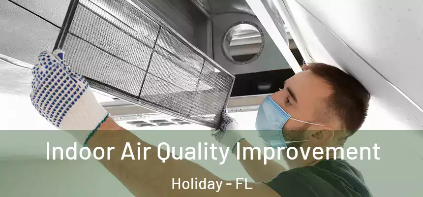 Indoor Air Quality Improvement Holiday - FL