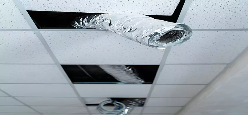 Affordable HVAC Sanitizing After Pest Removal in Holiday