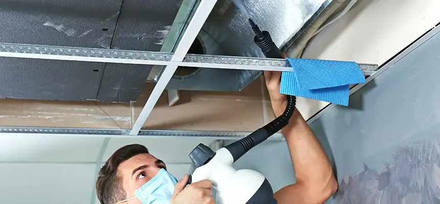 Our Air Duct Rodent Removal Services in Holiday, FL