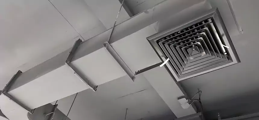 Restorative Allergy Relief Vent Cleaning – Coil, Blower & Housing Detail in Holiday