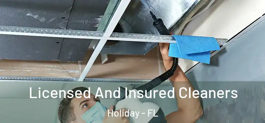 Licensed And Insured Cleaners Holiday - FL
