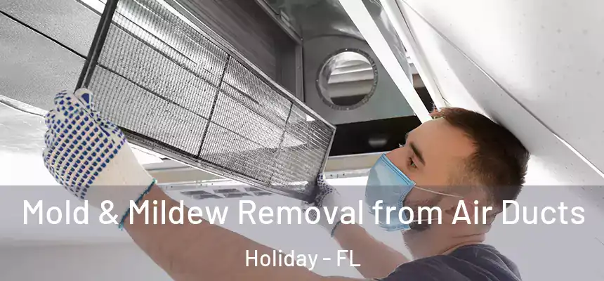 Mold & Mildew Removal from Air Ducts Holiday - FL