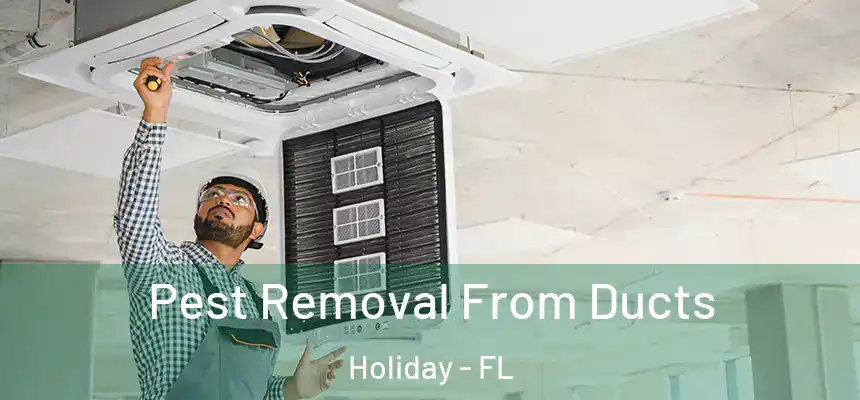 Pest Removal From Ducts Holiday - FL