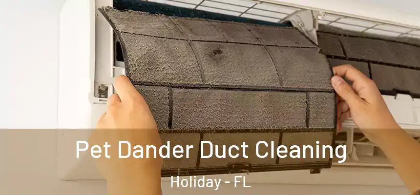 Pet Dander Duct Cleaning Holiday - FL