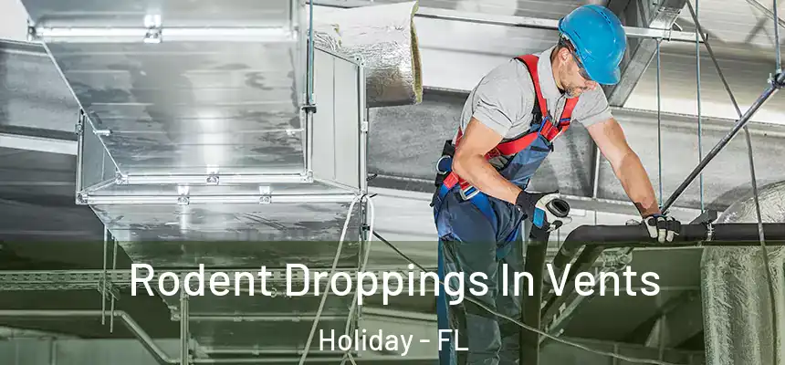 Rodent Droppings In Vents Holiday - FL