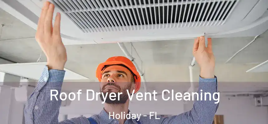 Roof Dryer Vent Cleaning Holiday - FL