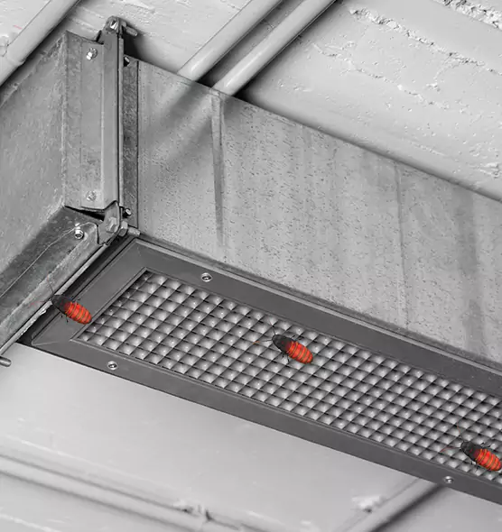 About Air Duct Cockroach Removal in Holiday, FL