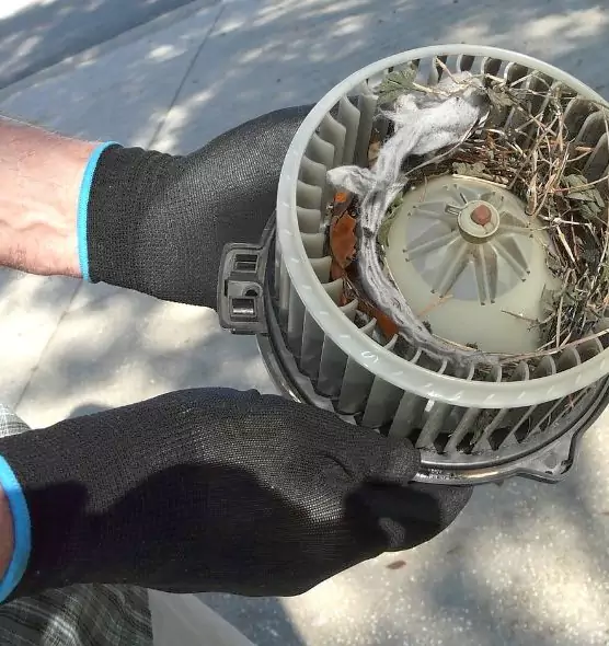 About Air Duct Rat Removal in Holiday, FL