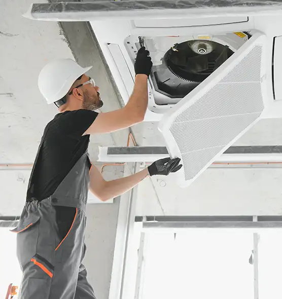 About Air Duct Rodent Removal in Holiday, FL