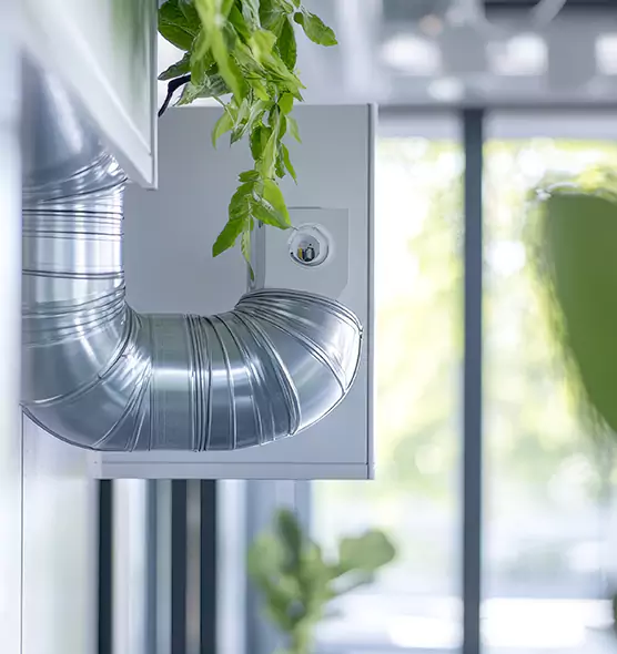 Professional Eco-Friendly Duct Cleaning Services in Holiday, FL