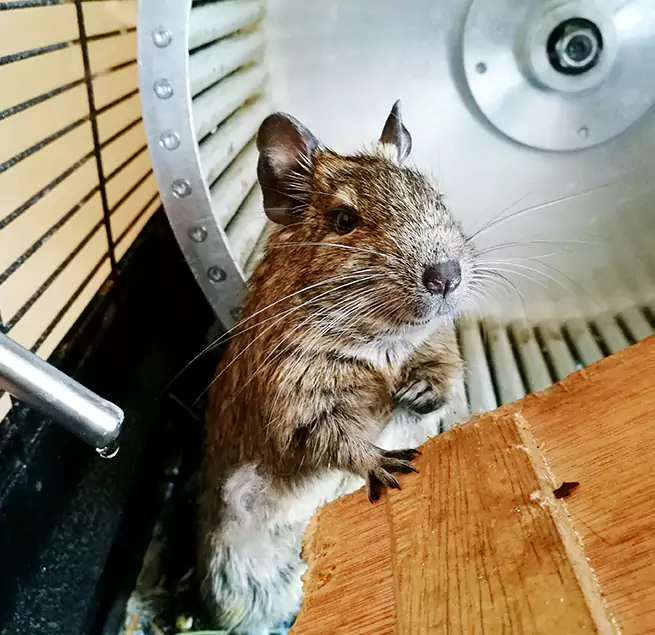 Why Homeowners & Businesses Trust Us Holiday, FL?