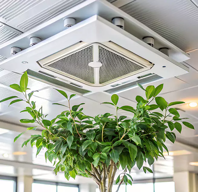 Why Homeowners & Businesses Trust Us in Holiday, FL