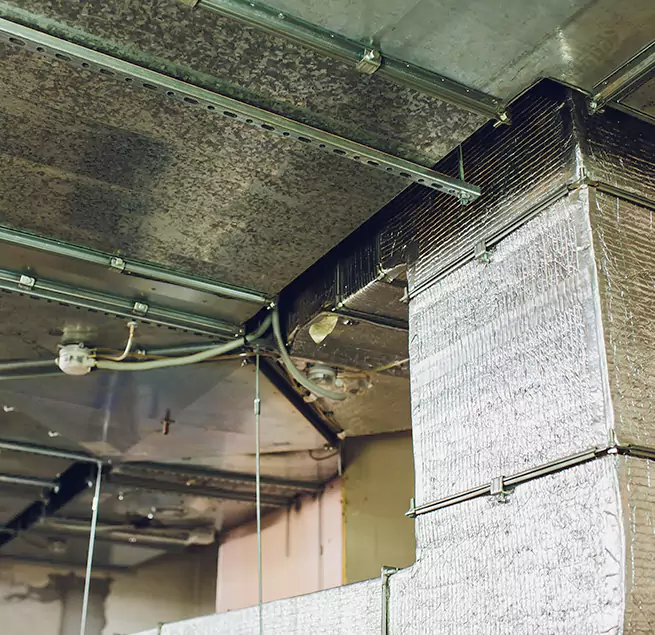 Why Homeowners & Businesses Trust Us in Holiday, FL?