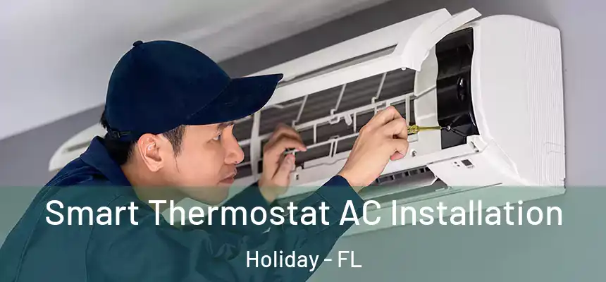 Smart Thermostat AC Installation Holiday - FL