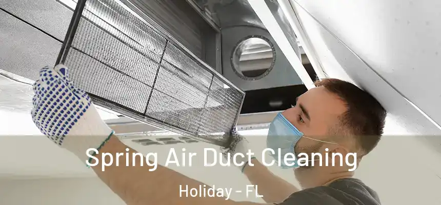 Spring Air Duct Cleaning Holiday - FL