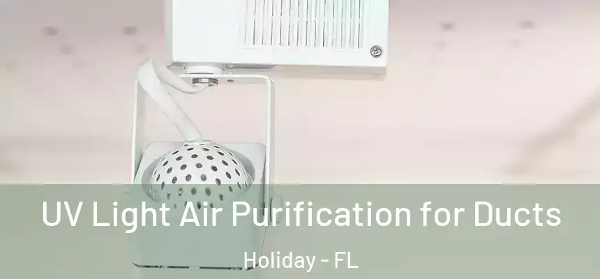 UV Light Air Purification for Ducts Holiday - FL