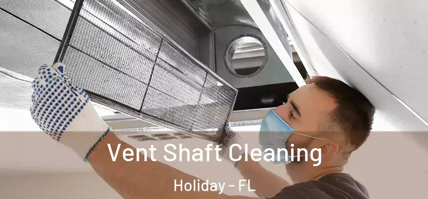 Vent Shaft Cleaning Holiday - FL