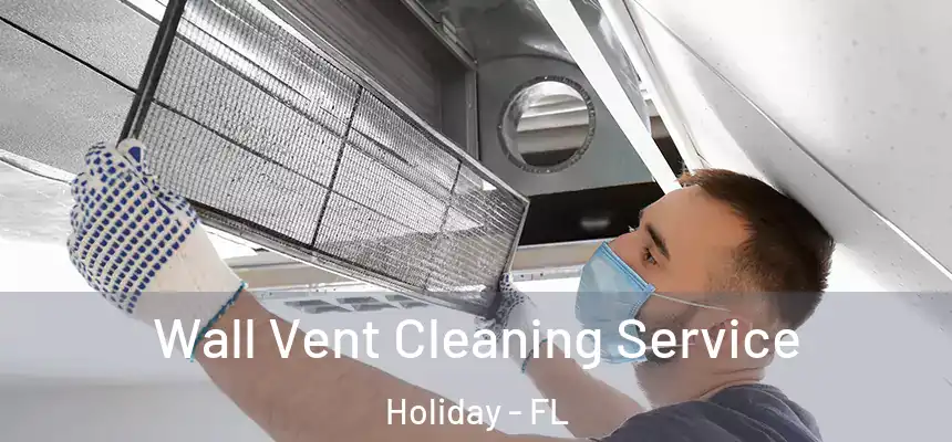 Wall Vent Cleaning Service Holiday - FL