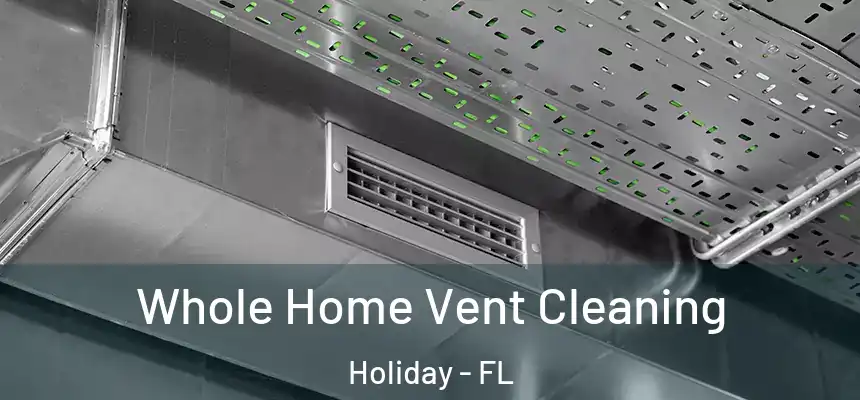 Whole Home Vent Cleaning Holiday - FL
